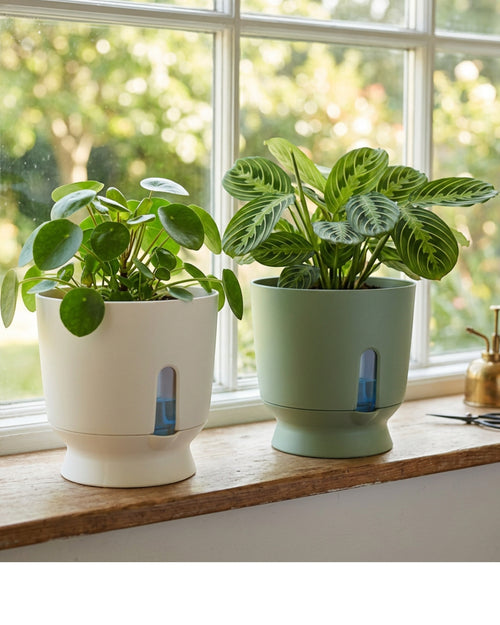 oakd.shop Self-Watering Round Plastic Plastic Vases 20 cm White and Sage Set of 2 - Lifestyle view